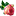 The grass and the rose