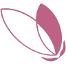 Une Histoire Une Fleur