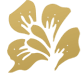 Flora-Lyne