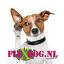 Flexdog.nl
