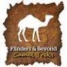 Flinders and Beyond Camel Treks