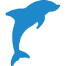 Flipper diving club