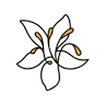 Flora del Rio
