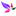 Floral Design