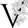 Floral Preservation and Designs