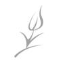 Flora Nova Design