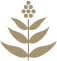 A Flôr da Selva