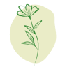 Flor de Lyc