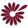 Florentina Blumen & Kunst