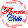 floreria chile
