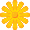 Joa Flor Floreria