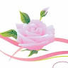 Florería Liliana Online