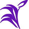 Florería Violeta