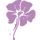 Flores Malva