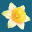 Flores MIRIAM