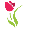 Floresnet Flores e Presentes Online Ltda