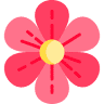 Flores Silvia