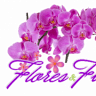 Flores y Fiestas de Colombia