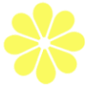 Floreria Flores y Sabores