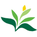 Floricultura Agrofeira