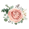 Floriculture Center Flowers