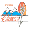 Floricultura Edelweiss