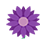 FLOR & ARTE FLORICULTURA