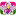 Floricultura Orquídea