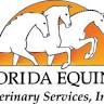 Florida Equine Veterinary Services