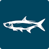 Florida Keys Outfitters