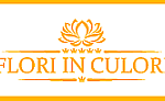 Florăria Flori In Culori