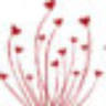 Flowers Maria Bunea