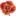 Florisa
