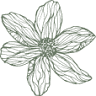 Floristeria- Sarah Staudt