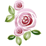 Floristería Amaflor