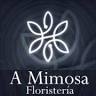 Floristería A Mimosa Playa Del Ingles, Maspalomas