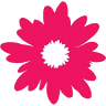 Floristeria Anturio Sucursal