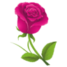 Floristería Emanuel