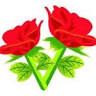 Floristería Huila