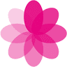 Florist Floral Empire