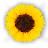 Floristería Jardines ABC