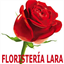 Floristería Lara