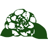 Floristería Mimos