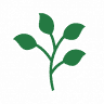Floristería Zarcillos