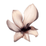Flourish Craft International