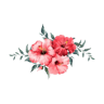 Flower Island Resort