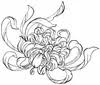 Flowers By Gabrielle