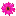 Flowers By Hansen