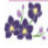 Flowers By Rachelle