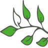 Flowers & Events